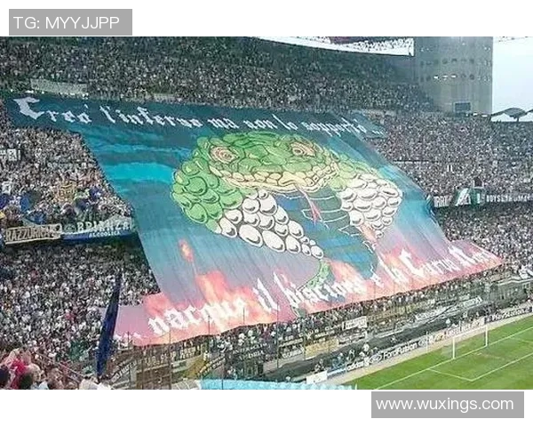 英语流利的足球明星们如何在国际赛场上沟通与合作 英语流利的足球明星们如何在国际赛场上沟通与合作