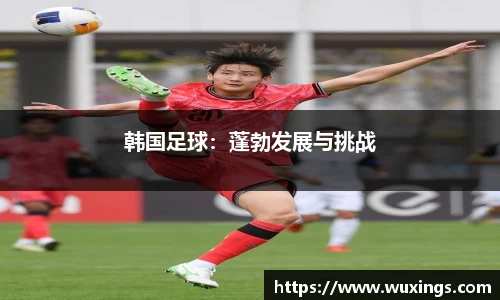 韩国足球：蓬勃发展与挑战
