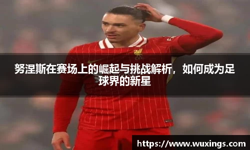 努涅斯在赛场上的崛起与挑战解析，如何成为足球界的新星